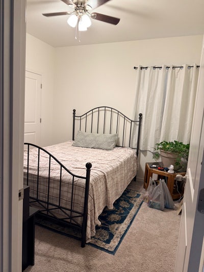 Roommate needed Main Photo