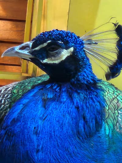 Room wanted in New Jersey Main Photo