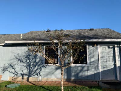 Private Studio House. Near Beaches and Redwoods. Q Main Photo