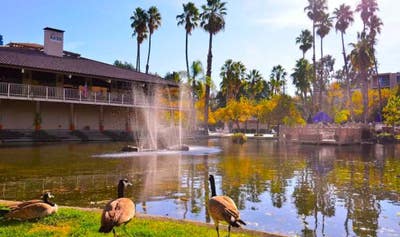 Private Room in 2BR Condo w/ Great Amenities Main Photo