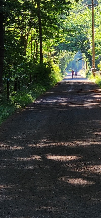 Room on 5 country acres!! Main Photo