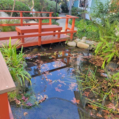 One Bedroom and One Bathroom in West LA Main Photo