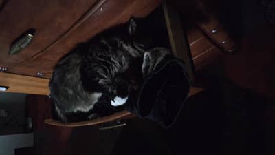 Room wanted in El monte Main Photo