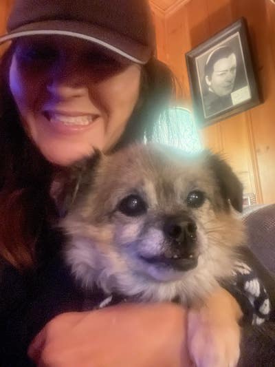 Room wanted in Los Angeles Main Photo