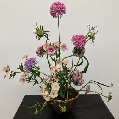 ISO room in Brooklyn under $850  Main Photo