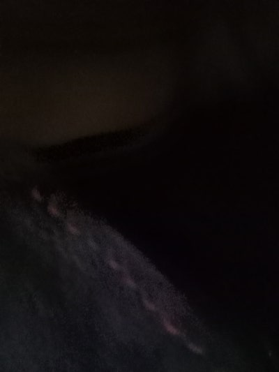 Room wanted in Los Angeles Main Photo