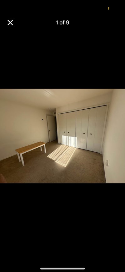 Female roomate needed  Main Photo