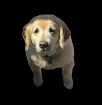 Room wanted in Los Angeles Main Photo