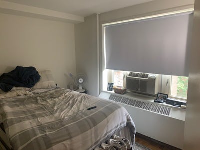 Room Available in 2BR East Village Apt Feb Move in Main Photo