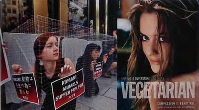 Room wanted in San Francisco Bay Area Main Photo