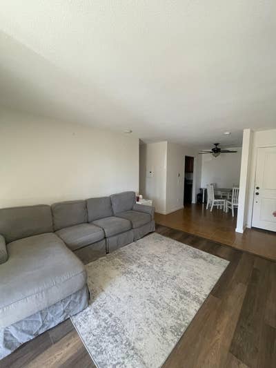 Roommate Needed!  Main Photo