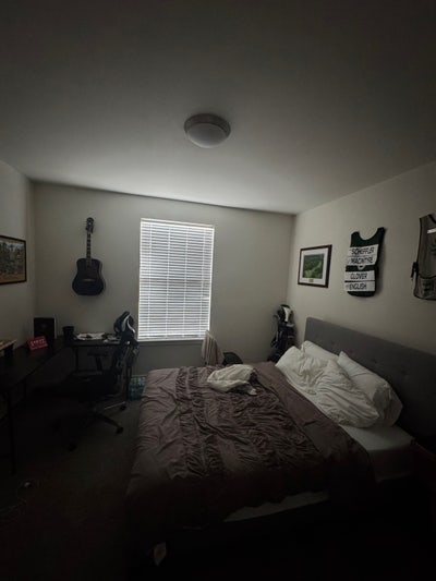 Looking for a roommate  Main Photo
