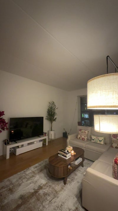 Spacious 2b2b apartment for sublease in Embankment Main Photo