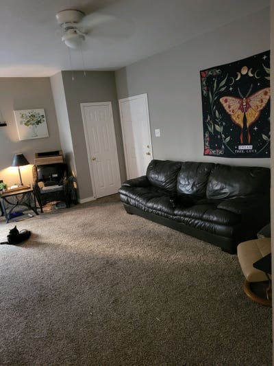 Looking for roomate  Main Photo