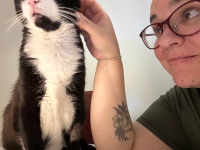 Room wanted in New York Main Photo