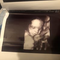 Room wanted in Tampa Main Photo