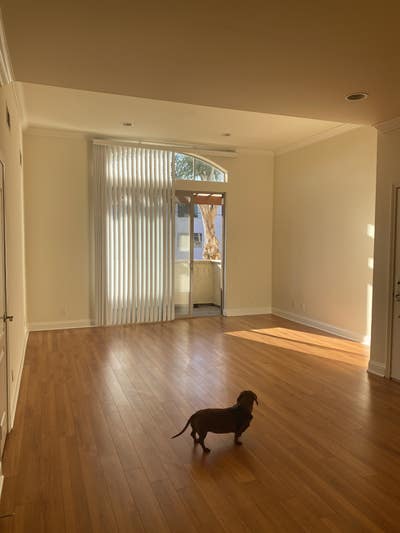 Room Available in Beautiful Los Feliz 2BR/2BA Apar Main Photo