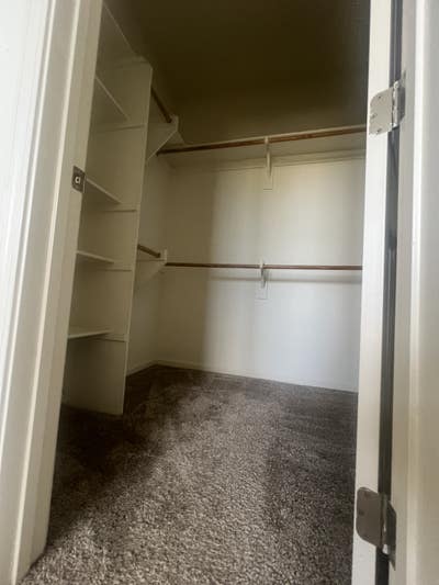 Female roomate wanted  Main Photo