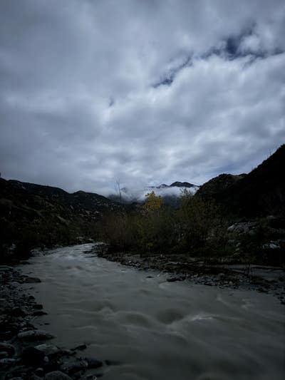 Room wanted in San Juan Capistrano, CA Main Photo