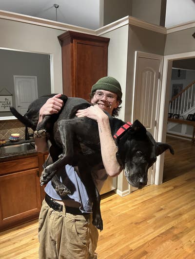 Room wanted in Los Angeles, CA Main Photo