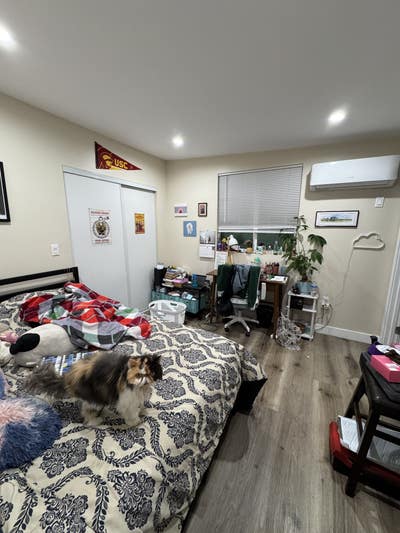 Room available near USC Main Photo