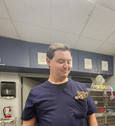 Room wanted in Hollywood Main Photo