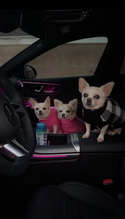 Room wanted in West Hollywood, Los Angeles, CA Main Photo