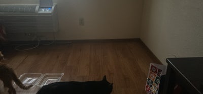 Small Space  Main Photo