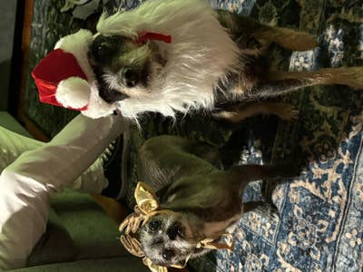 Room wanted in Los Angeles Main Photo