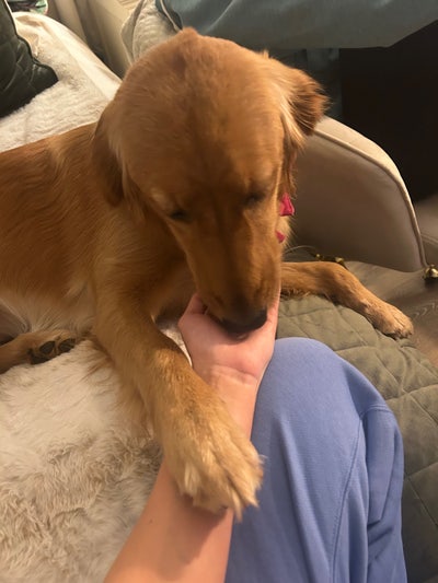 Master bedroom for rent  Main Photo