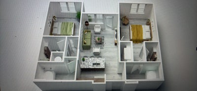 Looking female roommate Main Photo