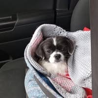 Room wanted in Washington D.C. Main Photo