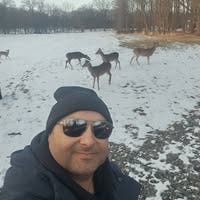 Room wanted in New York Main Photo