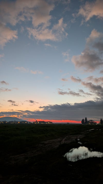 Room wanted in Los Angeles Main Photo