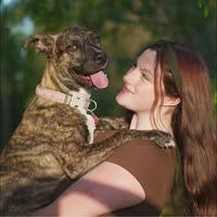 Room wanted in Los Angeles Main Photo