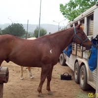 Room wanted in El Cajon, CA Main Photo