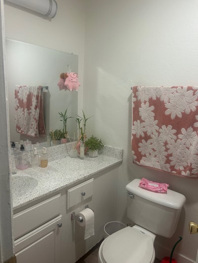 Room for rent  Main Photo