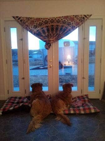 Private: entry, parking, room, and bath Main Photo