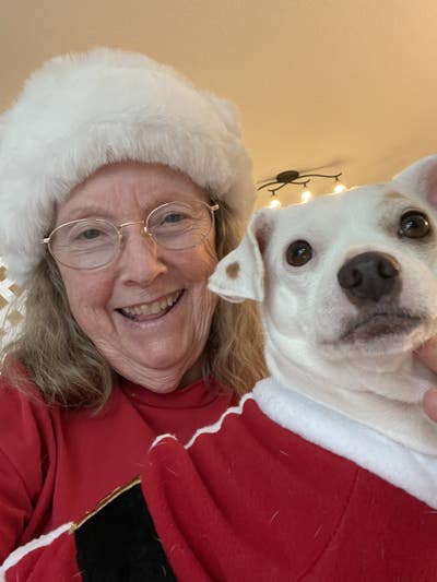 Room wanted near Huntington Beach, CA Main Photo