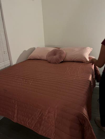 I’m subleasing at The Province across from USF Main Photo