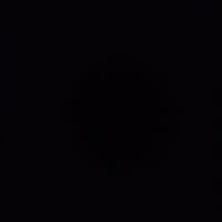 Room wanted in NYC Main Photo