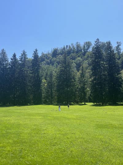 Room wanted in Los Angeles Main Photo