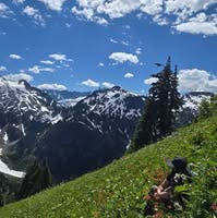 Room wanted in New Jersey Main Photo