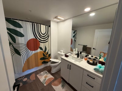 Looking for Roommate  Main Photo