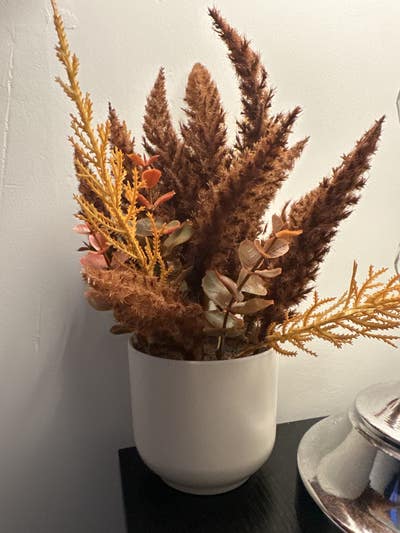 Room wanted in Atlanta Main Photo