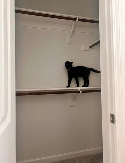 Available March 1st- Private Bath - All Utilities  Main Photo