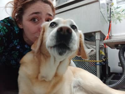 $200 Budget, Cat, 36F, Flexible Move Date Main Photo