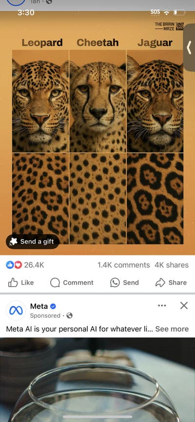 Room wanted in New Jersey Main Photo