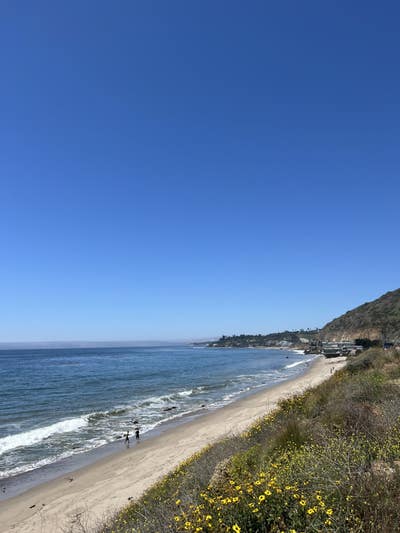 $1000 Budget, Male, 45, Ready to Move In Main Photo