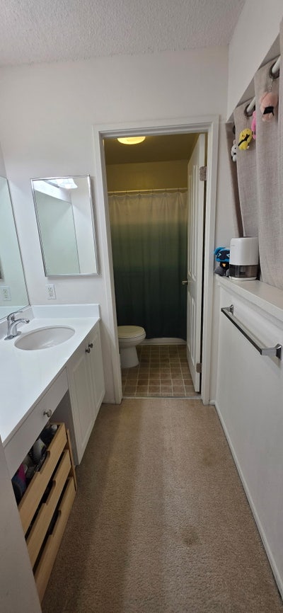 Female roommate wanted in Woodbridge Pines Main Photo